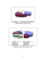 Diplomdarbs 'Pakalpojumu zīmola vadība uzņēmumā "Air Baltic Corporation"', 86.