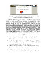 Referāts 'Finanšu piesaiste uzņēmējdarbībā', 17.