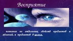 Prezentācija 'Ощущение и восприятие', 12.