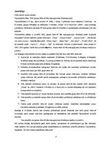 Diplomdarbs 'Čellu grupas "Melo-M" tēla atspoguļojums drukātajā presē', 4.