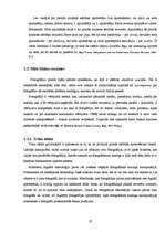 Diplomdarbs 'Čellu grupas "Melo-M" tēla atspoguļojums drukātajā presē', 20.