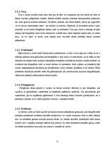 Diplomdarbs 'Čellu grupas "Melo-M" tēla atspoguļojums drukātajā presē', 21.