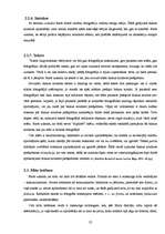 Diplomdarbs 'Čellu grupas "Melo-M" tēla atspoguļojums drukātajā presē', 22.