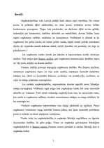 Referāts 'Finanšu analīze', 2.