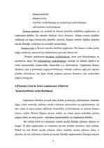 Referāts 'Finanšu analīze', 8.