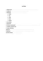 Biznesa plāns 'Biznesa plāns viesu mājai Latgalē', 4.