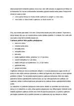 Biznesa plāns 'Biznesa plāns viesu mājai Latgalē', 26.