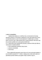 Biznesa plāns 'Biznesa plāns viesu mājai Latgalē', 28.