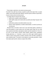 Referāts 'Dzīvesvietas nozīme socializācijas procesā', 3.