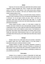 Referāts 'Interaktīvās tāfeles izmantošanas iespējas eksaktajos priekšmetos', 6.