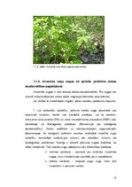 Diplomdarbs 'Invazīvo augu sugu ierobežošana dabas parkā "Ragakāpa"', 12.