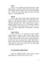 Diplomdarbs 'Invazīvo augu sugu ierobežošana dabas parkā "Ragakāpa"', 21.