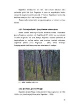 Diplomdarbs 'Invazīvo augu sugu ierobežošana dabas parkā "Ragakāpa"', 22.