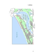 Diplomdarbs 'Invazīvo augu sugu ierobežošana dabas parkā "Ragakāpa"', 47.