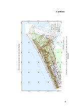 Diplomdarbs 'Invazīvo augu sugu ierobežošana dabas parkā "Ragakāpa"', 48.