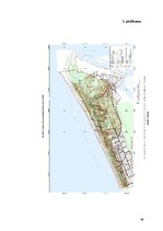 Diplomdarbs 'Invazīvo augu sugu ierobežošana dabas parkā "Ragakāpa"', 49.