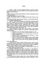 Referāts 'Māņticība, elkdievība, zīlēšana un maģija mūsdienu sabiedrībā', 4.