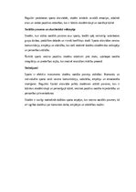 Eseja 'Sports un skolēnu sociālās prasmes: sadarbība, komunikācija un empātija', 2.