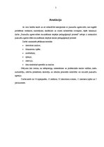 Referāts 'Pusaudžu agresivitātes mazināšanas iespējas pedagoģiskajā procesā', 2.