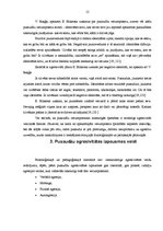 Referāts 'Pusaudžu agresivitātes mazināšanas iespējas pedagoģiskajā procesā', 12.