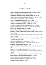 Referāts 'Pusaudžu agresivitātes mazināšanas iespējas pedagoģiskajā procesā', 41.