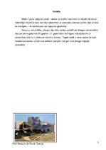 Referāts 'Pasaules neparastākās viesnīcas', 3.