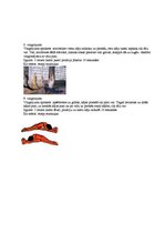 Konspekts 'Deviņi vispārattīstošie vingrojumi sportā', 3.