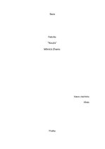 Konspekts 'Mārtiņš Zīverts "Nauda"', 1.