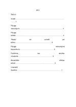 Konspekts 'Mārtiņš Zīverts "Nauda"', 2.