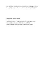 Konspekts 'Mārtiņš Zīverts "Nauda"', 6.