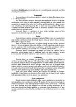 Referāts 'Dažādi primātu kārtas dzīvnieki', 8.