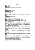 Referāts 'Dažādi primātu kārtas dzīvnieki', 11.