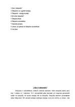 Referāts 'Ūdeņraža enerģija ', 2.