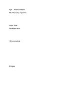 Konspekts 'Jostas roze', 1.