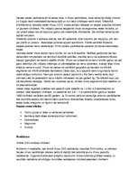 Konspekts 'Jostas roze', 2.