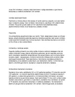 Konspekts 'Jostas roze', 4.