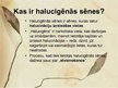 Prezentācija 'Halucinogēnās sēnes', 2.