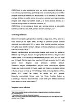 Referāts 'Šengenas zonas izveide', 10.