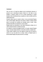 Referāts 'Šengenas zonas izveide', 13.