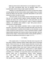 Referāts 'Nagi un to pieaudzēšanas ietekme uz cilvēka veselību', 12.