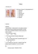 Referāts 'Nagi un to pieaudzēšanas ietekme uz cilvēka veselību', 38.