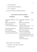 Konspekts 'Kompānija "Seesam Latvija" - stratēģiskais projekts', 3.