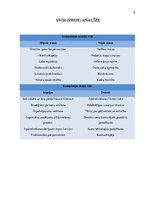 Konspekts 'Kompānija "Seesam Latvija" - stratēģiskais projekts', 9.
