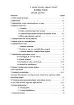 Biznesa plāns 'IU "Almetsa"', 3.