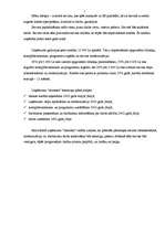 Biznesa plāns 'IU "Almetsa"', 5.