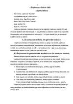 Biznesa plāns 'IU "Almetsa"', 7.