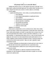 Biznesa plāns 'IU "Almetsa"', 11.