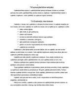 Biznesa plāns 'IU "Almetsa"', 12.