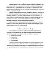 Biznesa plāns 'IU "Almetsa"', 15.