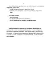 Biznesa plāns 'IU "Almetsa"', 21.